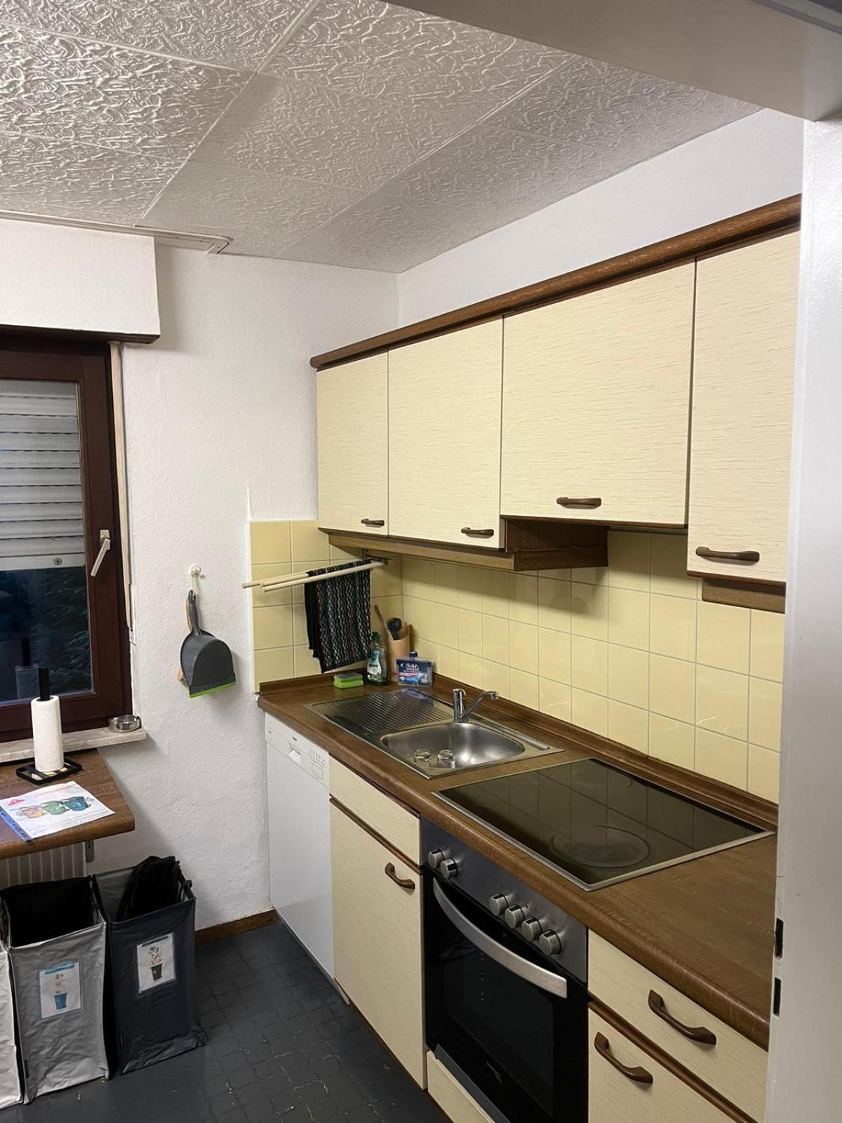 Appartement Avec Jacuzzi Et Jardin Kehl المظهر الخارجي الصورة